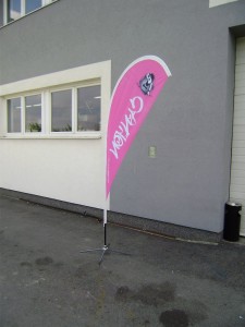 Read more about the article Zastave za plaze, sajmove i razne prezentacije