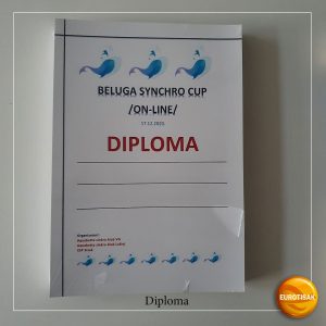 Read more about the article Izrada diploma