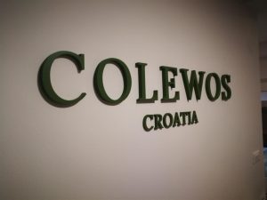 Read more about the article 3D strojno rezana slova